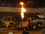 NFMS 155.jpg